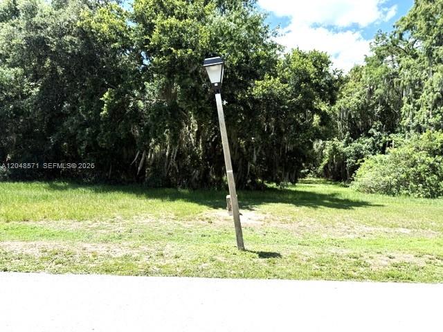 A single lamp post stands in a grassy lot bordered by dense trees — 6209 Aquavista Drive, Sebring FL 33876, SEBRING, FL