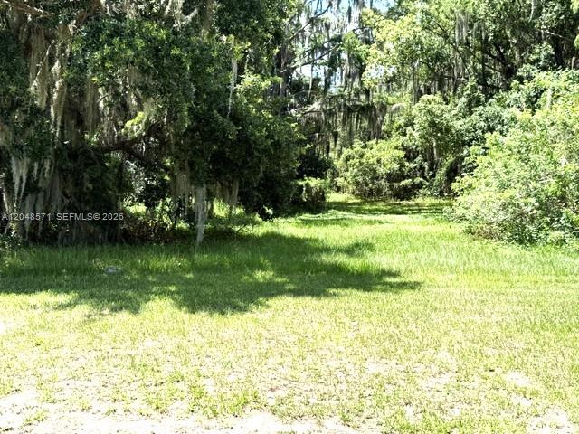 A grassy lot is bordered by mature trees draped in Spanish moss — 6209 Aquavista Drive, Sebring FL 33876, SEBRING, FL