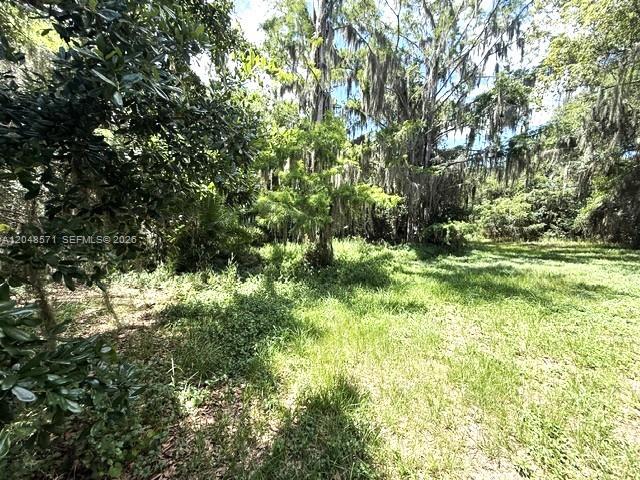 A grassy clearing is surrounded by dense trees draped in Spanish moss — 6209 Aquavista Drive, Sebring FL 33876, SEBRING, FL
