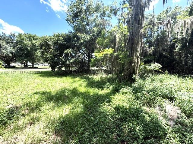 A grassy, overgrown lot features several large trees draped with Spanish moss — 6209 Aquavista Drive, Sebring FL 33876, SEBRING, FL