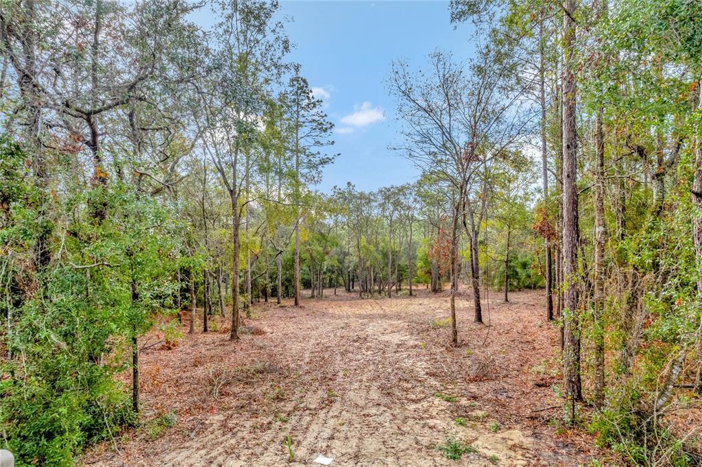1716 E BISMARK STREET, HERNANDO, FL — photo 2 of 19
