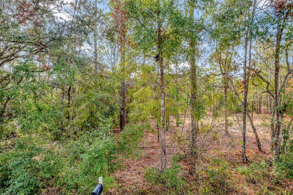 1716 E BISMARK STREET, HERNANDO, FL — photo 3 of 19