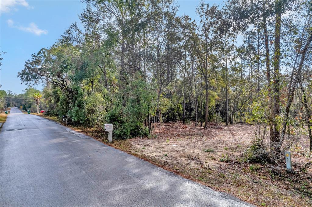1716 E BISMARK STREET, HERNANDO, FL — photo 4 of 19