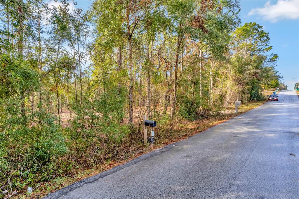 1716 E BISMARK STREET, HERNANDO, FL — photo 5 of 19
