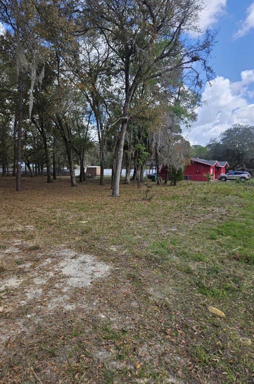 A grassy lot with many mature trees sits in front of a red house — 5463 E TANGELO LANE, INVERNESS, FL