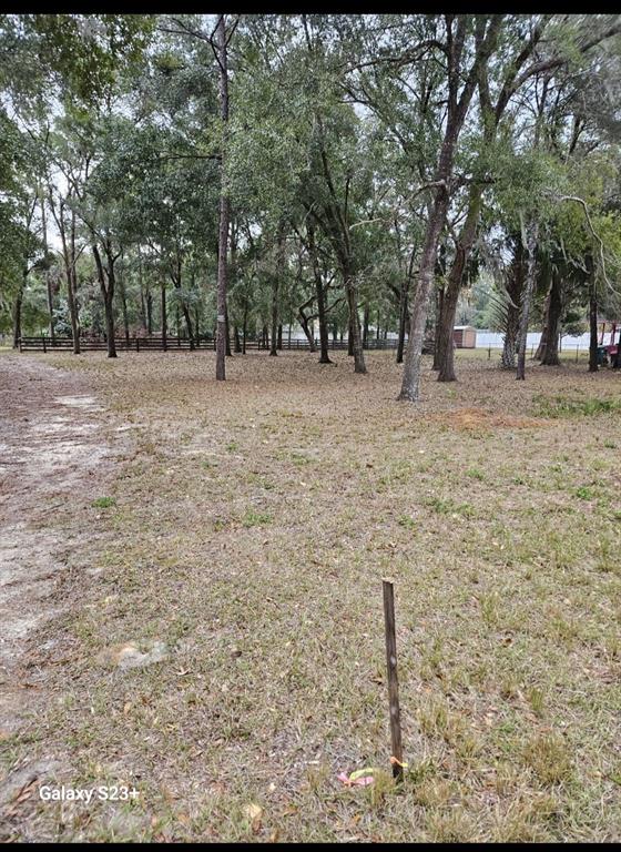 A grassy, wooded lot features a wooden survey stake in the foreground — 5463 E TANGELO LANE, INVERNESS, FL