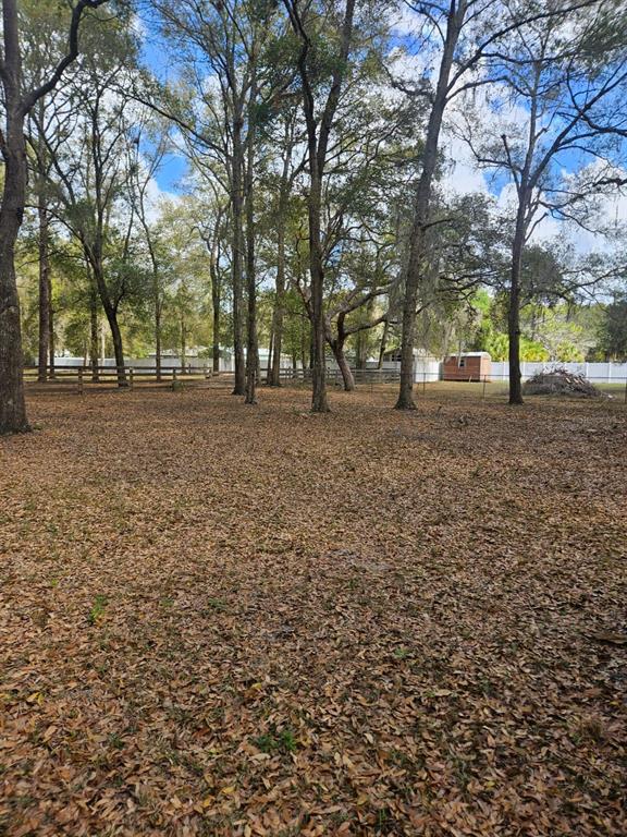 A large, leaf-covered backyard features mature trees, a wooden fence, and a small storage shed — 5463 E TANGELO LANE, INVERNESS, FL