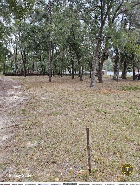A grassy, wooded lot features a wooden survey stake in the foreground — 5463 E TANGELO LANE, INVERNESS, FL