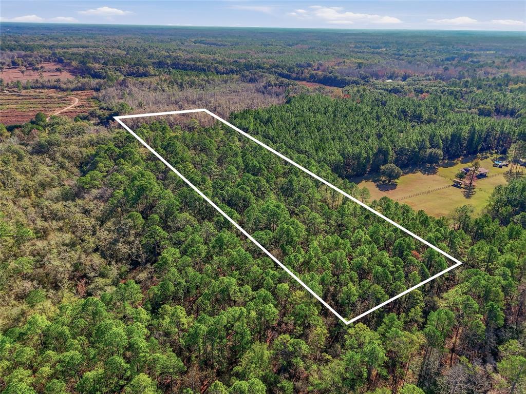 An aerial view shows a rectangular plot of land outlined in white amidst a forest — 20616 NW 75TH STREET, ALACHUA, FL