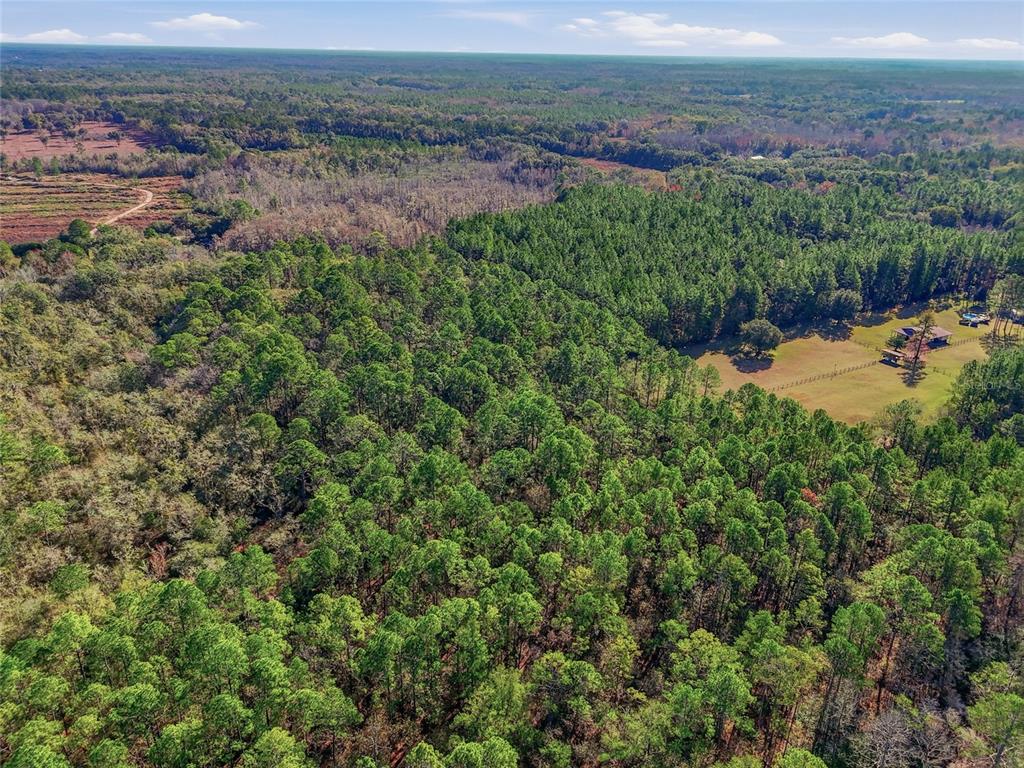 An aerial view shows a dense forest bordering a grassy clearing with a small house — 20616 NW 75TH STREET, ALACHUA, FL