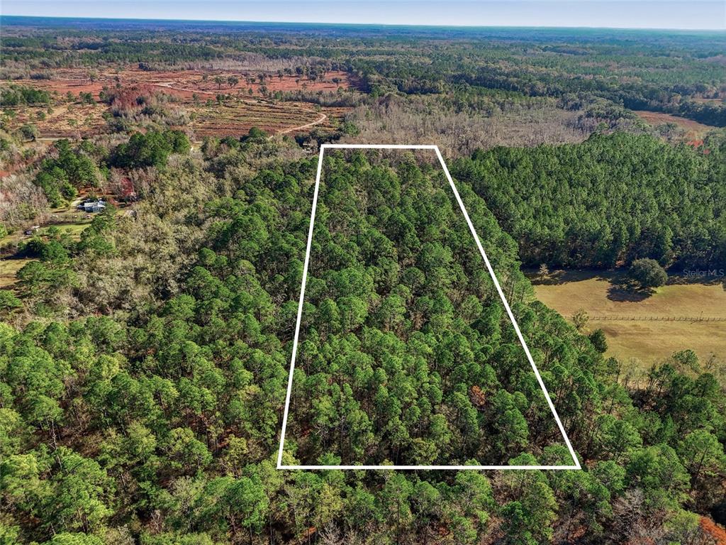 An aerial view shows a rectangular plot of land outlined in white within a forest — 20616 NW 75TH STREET, ALACHUA, FL