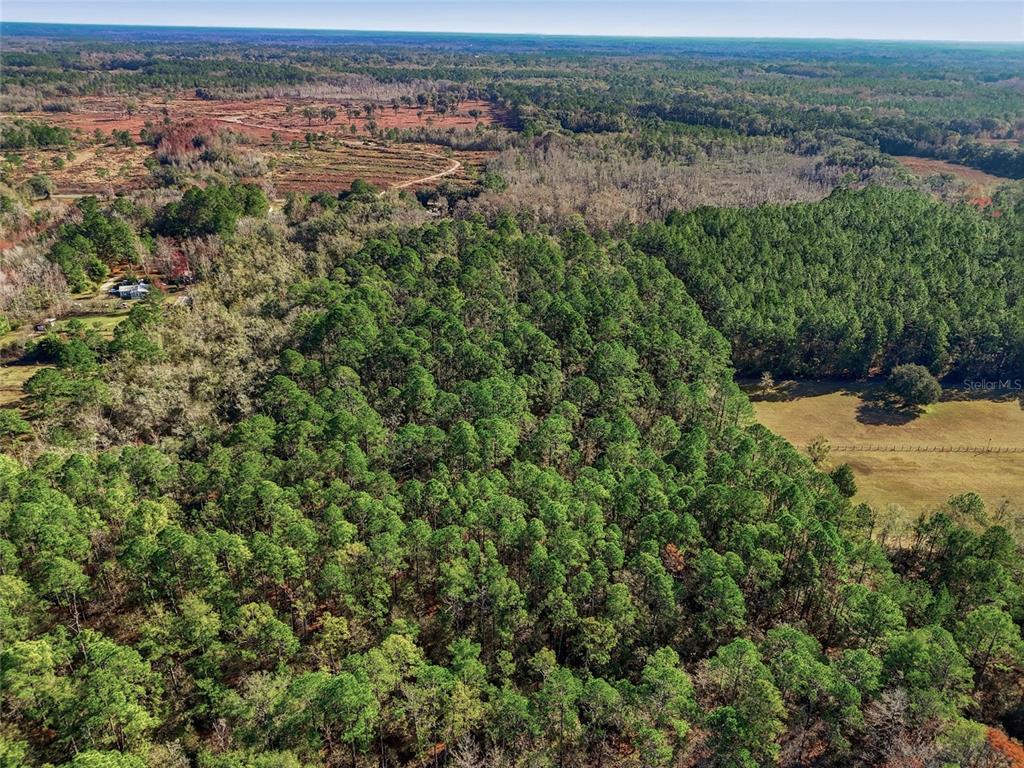 An aerial view shows a dense forest landscape bordering an open field and rural property — 20616 NW 75TH STREET, ALACHUA, FL