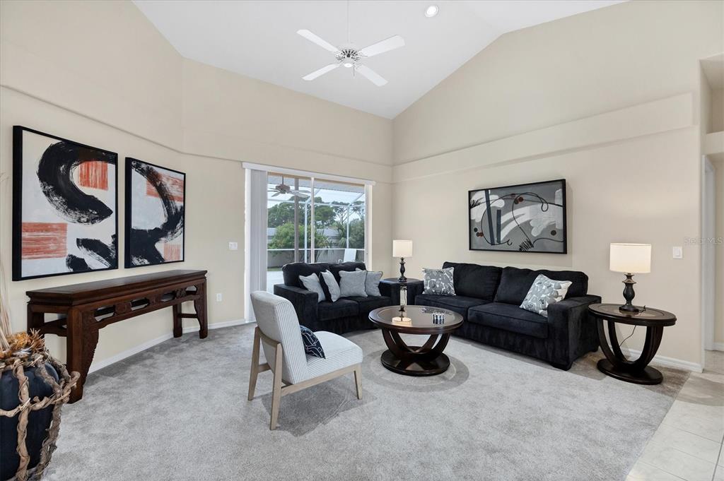 A living room features a vaulted ceiling, gray carpeting, dark furniture, and abstract wall art — 6392 WOODBIRCH PLACE, SARASOTA, FL
