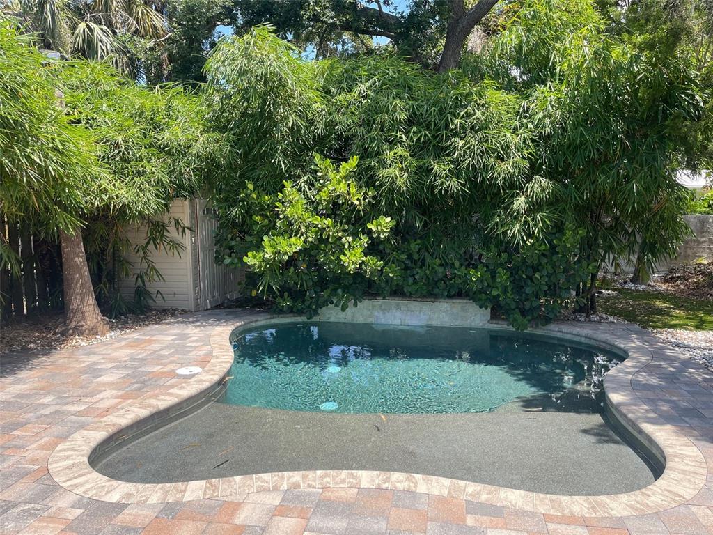 A kidney-shaped swimming pool with a stone paver deck surrounded by lush tropical landscaping — 831 40TH STREET, SARASOTA, FL
