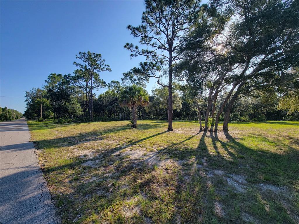 A vacant, grassy lot with several trees sits beside a paved road — 2075 S COLONIAL AVENUE, HOMOSASSA, FL