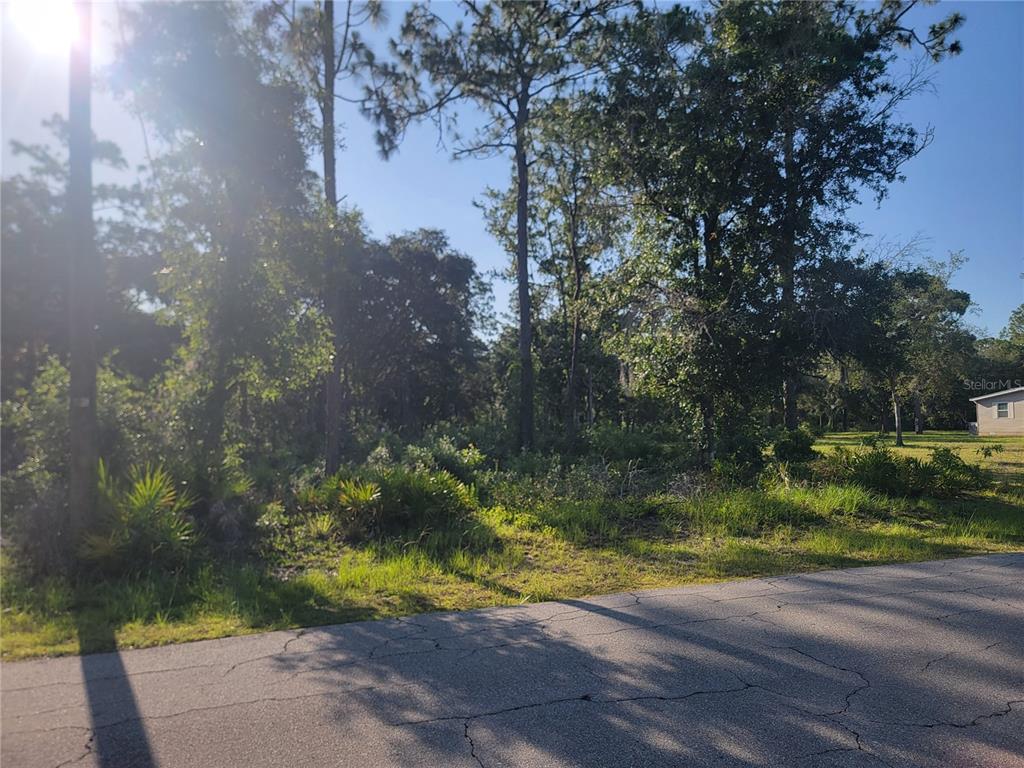 A paved road runs in front of a wooded, undeveloped residential lot with tall trees — 2075 S COLONIAL AVENUE, HOMOSASSA, FL