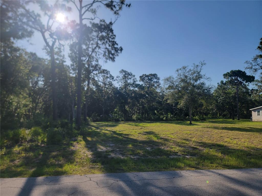A vacant, grassy lot with scattered trees is bordered by a paved road — 2075 S COLONIAL AVENUE, HOMOSASSA, FL