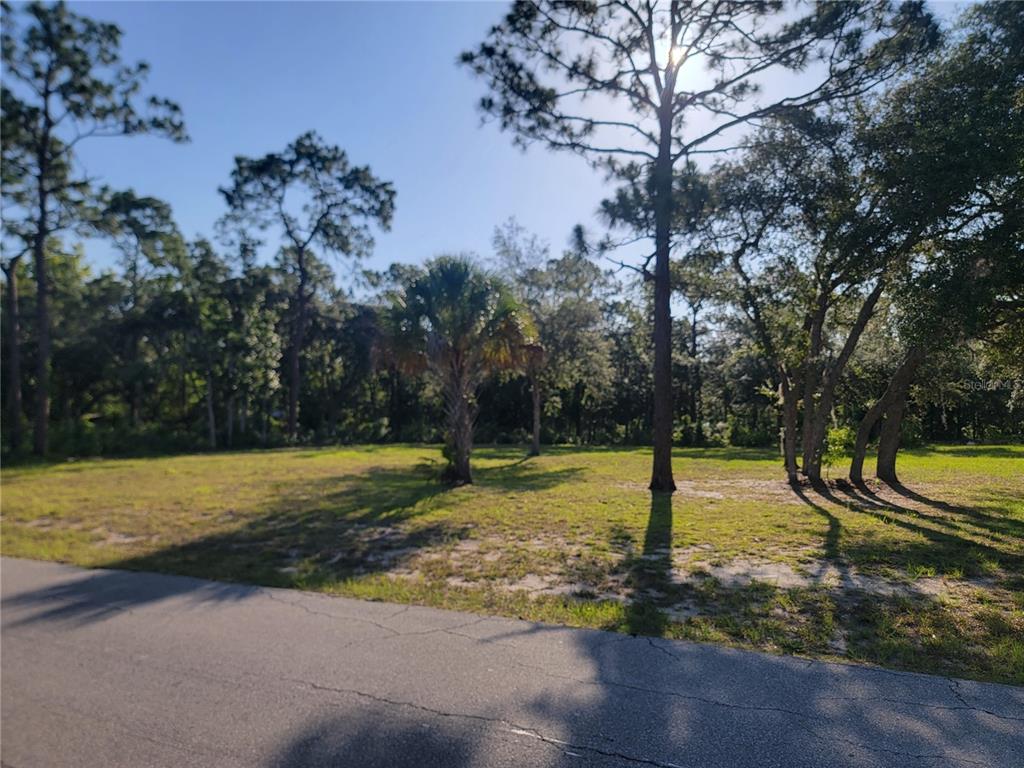 A vacant, grassy lot with scattered trees and a palm tree borders a paved road — 2075 S COLONIAL AVENUE, HOMOSASSA, FL