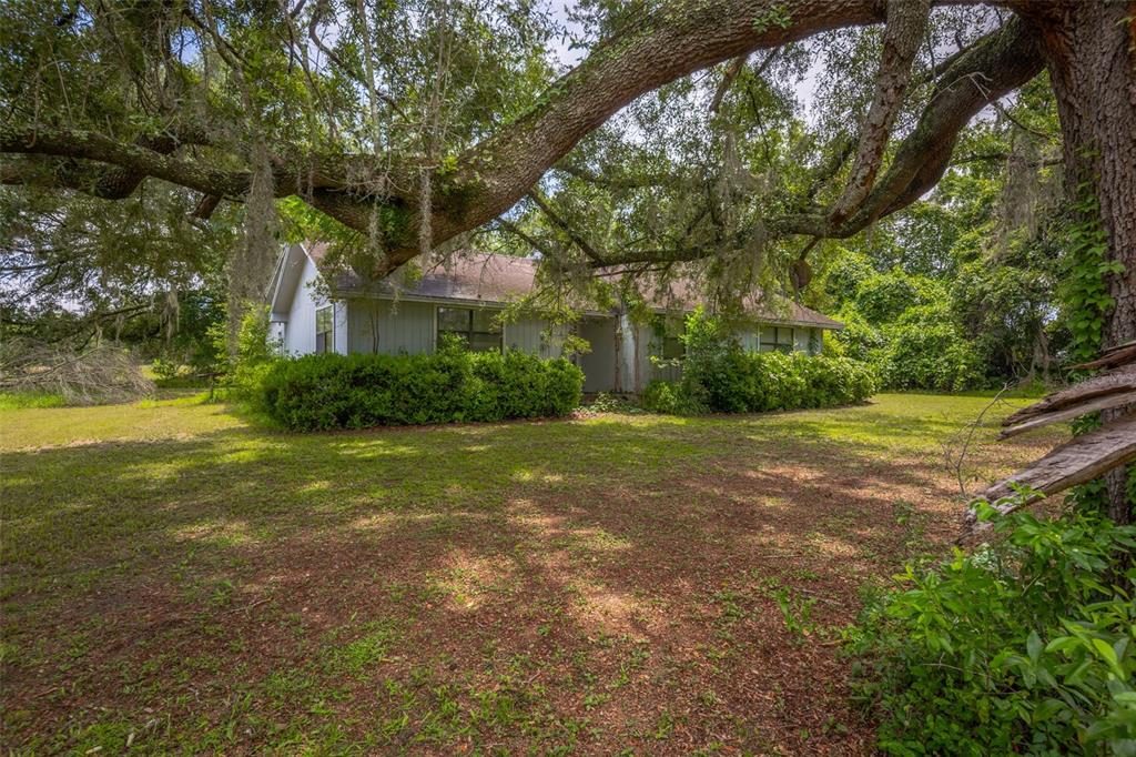 A single-story house sits on a grassy lot beneath the branches of a large tree — 276 SW TABERNACLE GLEN, LAKE CITY, FL