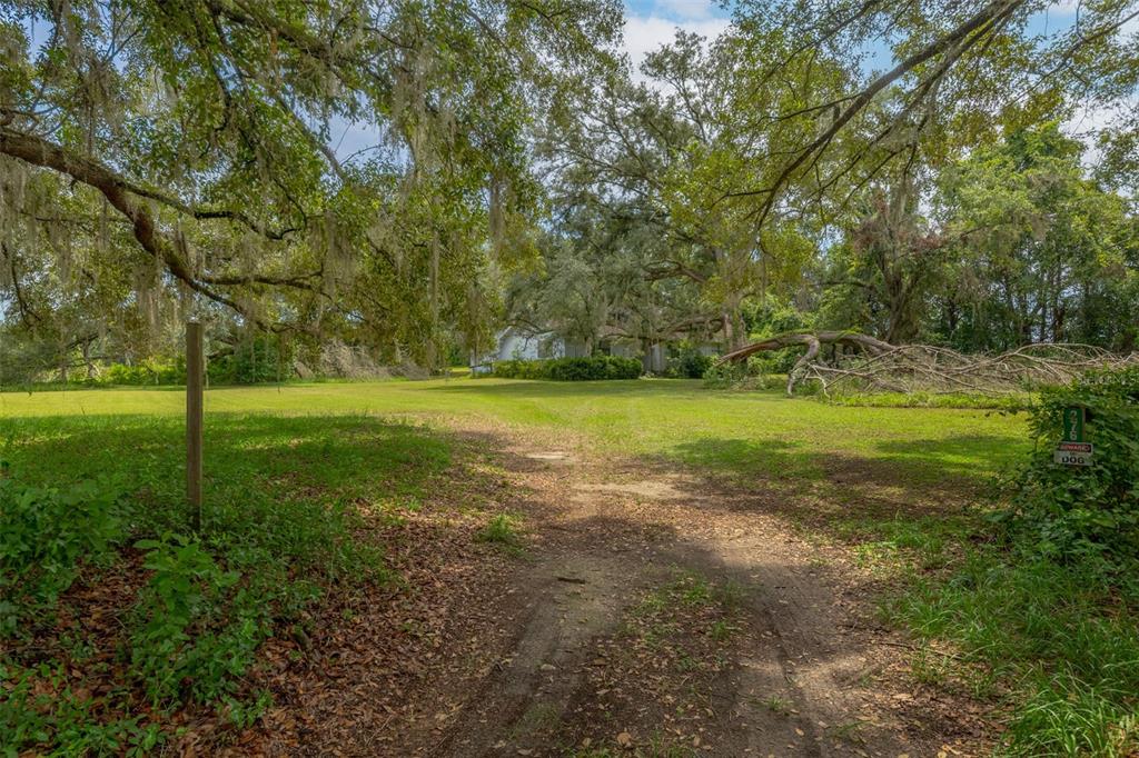 A dirt driveway leads through a grassy, tree-filled lot toward a house in the distance — 276 SW TABERNACLE GLEN, LAKE CITY, FL