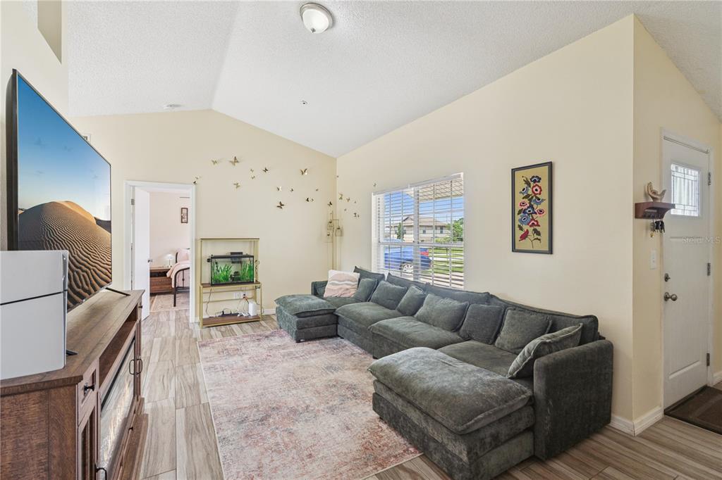A living room features a large sectional sofa, a television, and a patterned area rug — 808 ORANGE BROOK DRIVE, MINNEOLA, FL