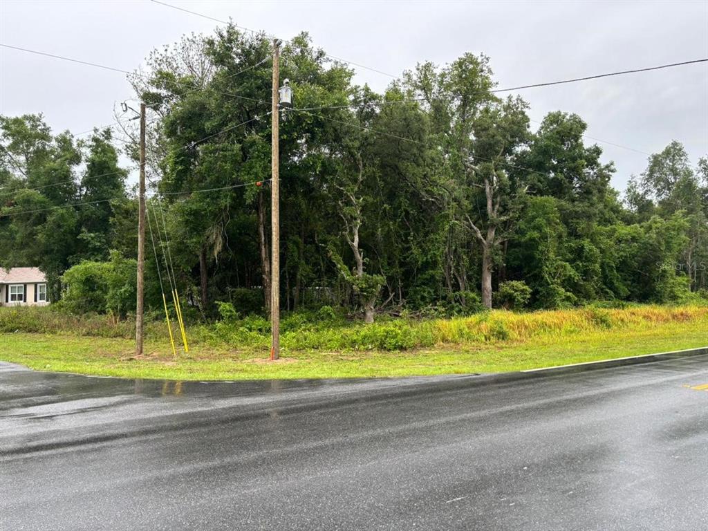 A paved road runs in front of a wooded, undeveloped lot with two utility poles — 1 GUAVA PASS TRAIL, OCKLAWAHA, FL