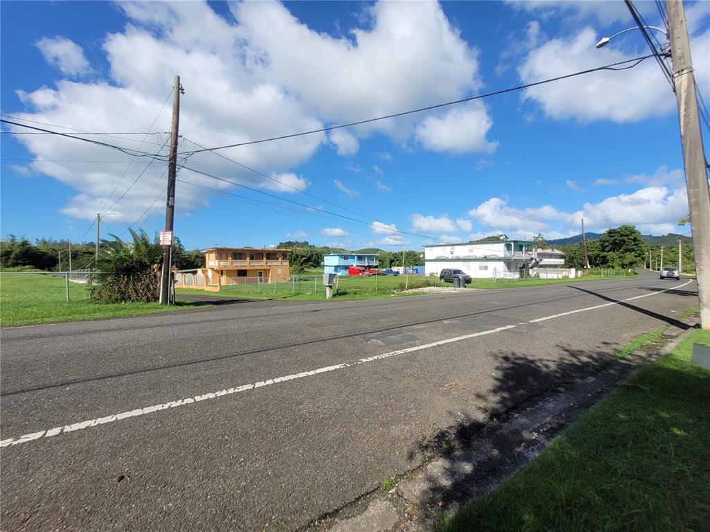 A paved road runs in front of a grassy lot with two houses and utility poles — 743 PR 743, CAYEY, PR