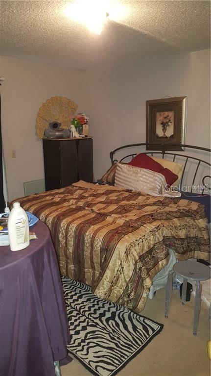 A bedroom features a metal-framed bed with a patterned comforter and a zebra-print rug — 2806 SHINING WILLOW TERRACE, ORLANDO, FL