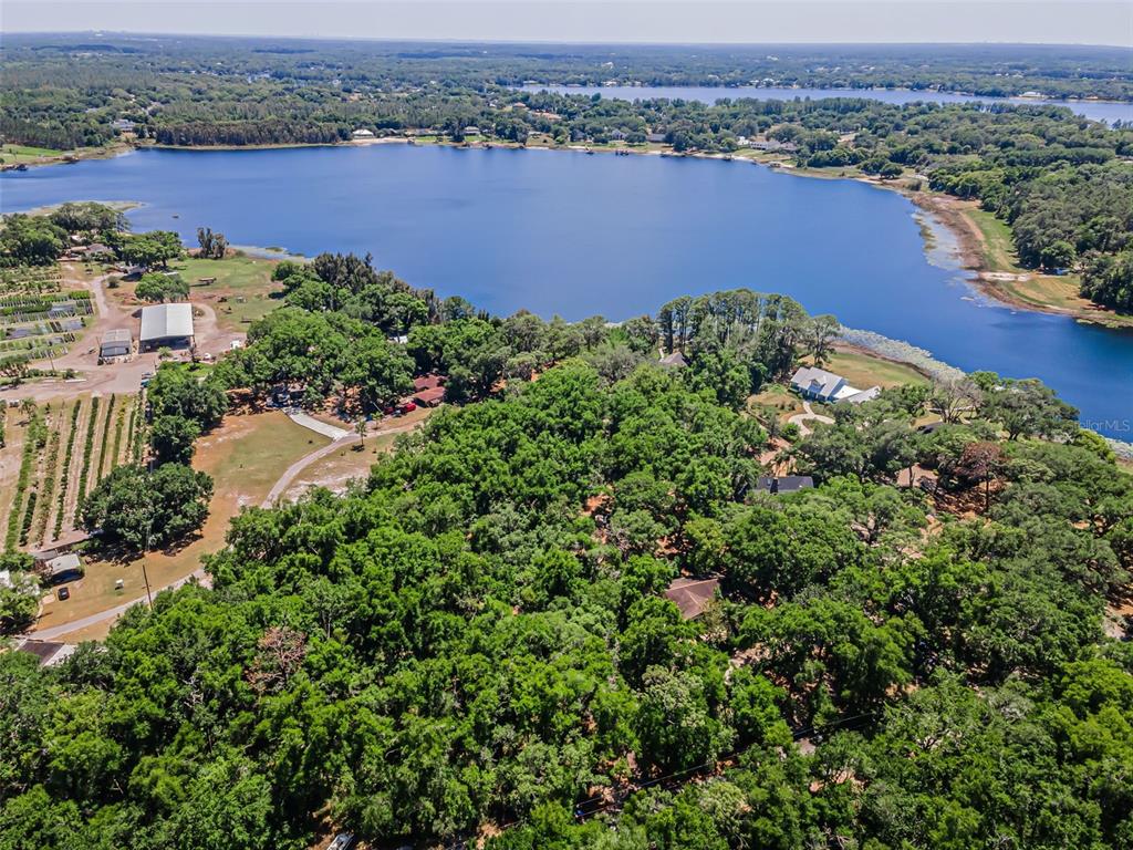 An aerial view shows a wooded property bordering a large lake with a nearby nursery — 8602 BONNIE COVE LANE, ODESSA, FL