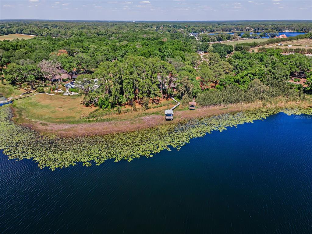 An aerial view shows a house nestled in trees along the shore of a lake — 8602 BONNIE COVE LANE, ODESSA, FL