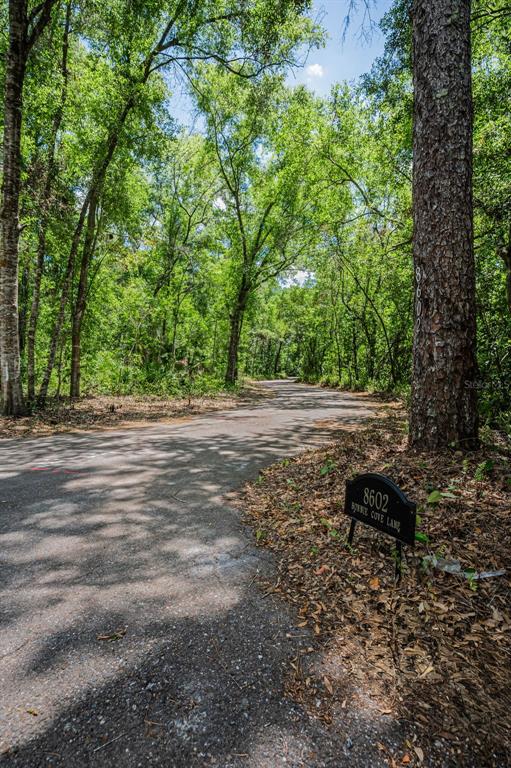 A paved road winds through a wooded area with a small address sign in the foreground — 8602 BONNIE COVE LANE, ODESSA, FL