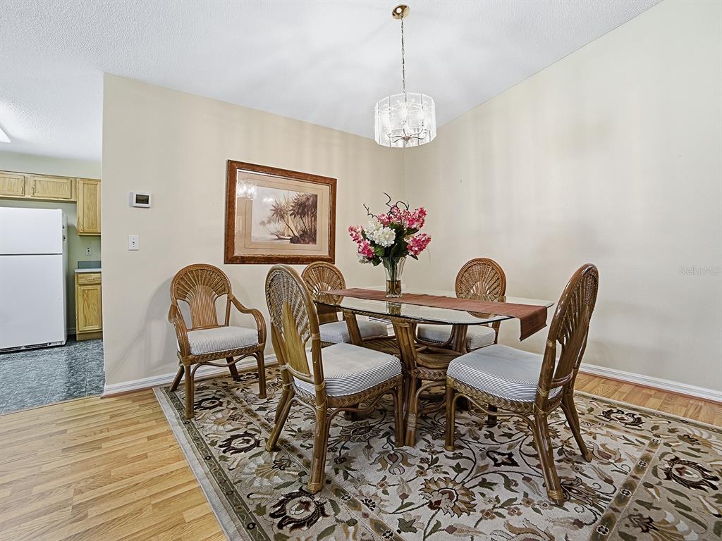 A dining room features a glass-topped table with wicker chairs on a patterned area rug — 32914 CROOKED OAKS LANE, LEESBURG, FL