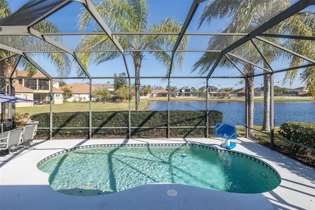 A screened-in pool patio overlooks a lake with palm trees and neighboring houses in view — 20301 FALLING ROCK DRIVE, LAND O LAKES, FL