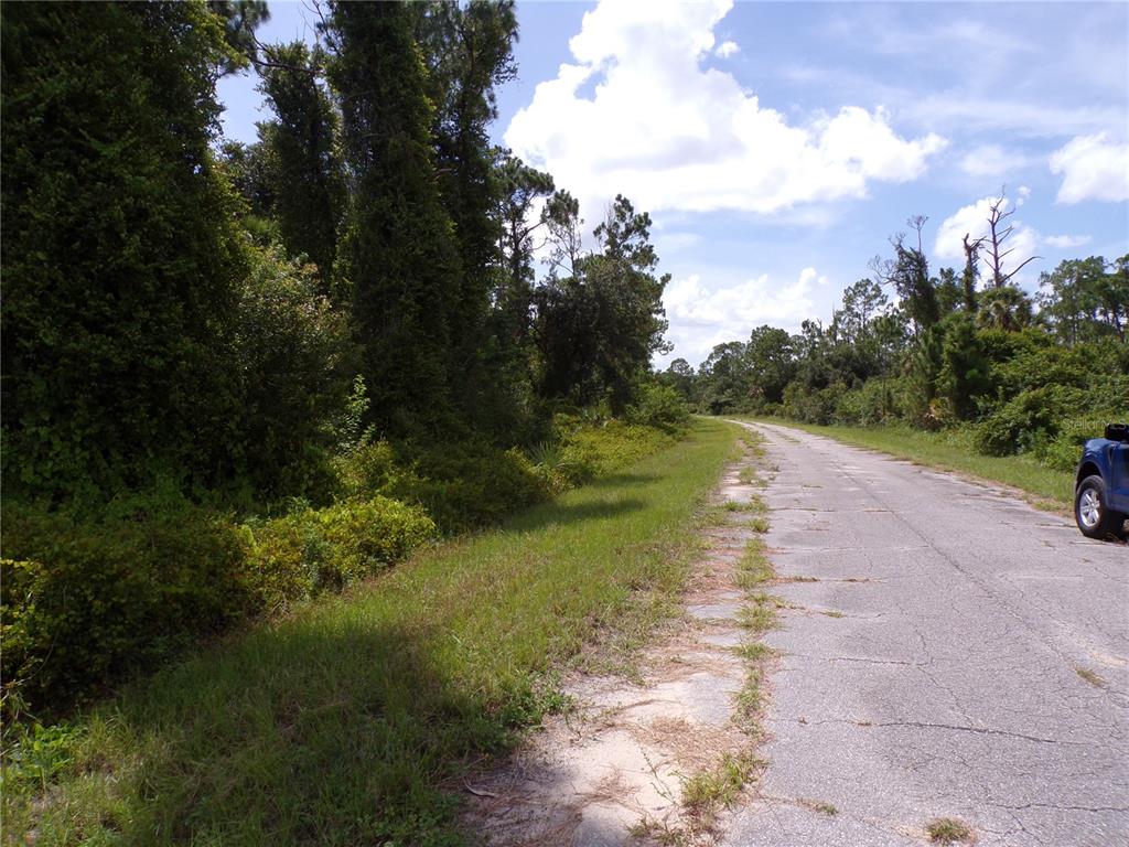 A paved road runs alongside a dense, wooded area under a bright, partly cloudy sky — IRONSIDE STREET, NORTH PORT, FL