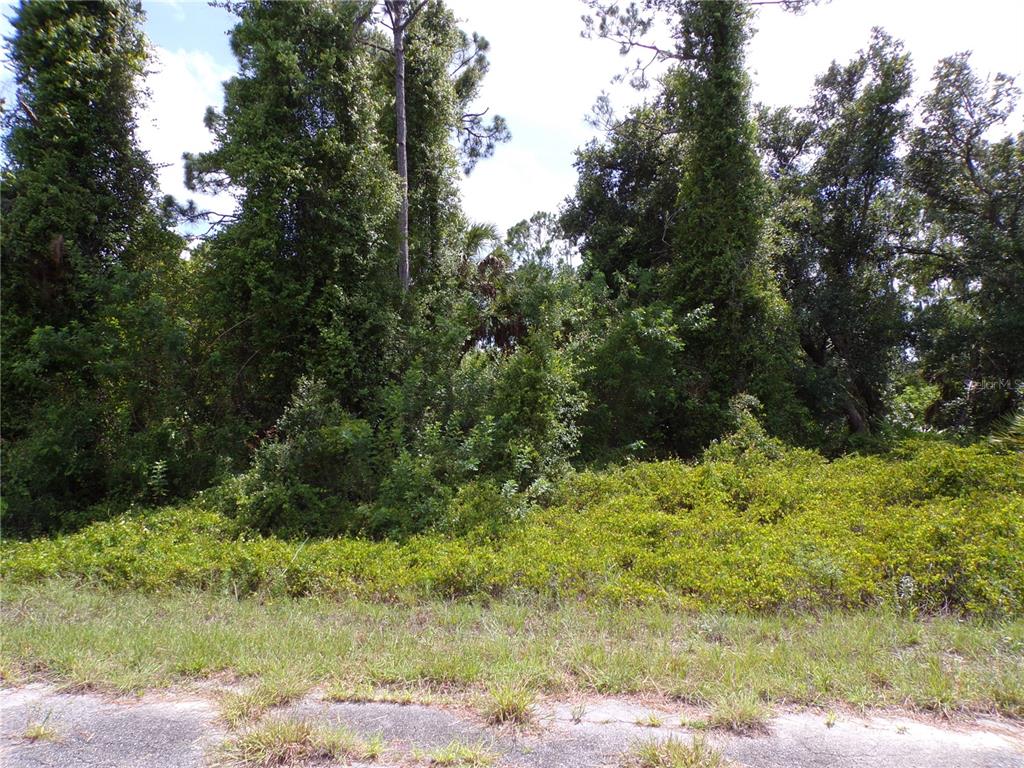 A vacant, heavily wooded lot with dense green vegetation and tall trees — IRONSIDE STREET, NORTH PORT, FL