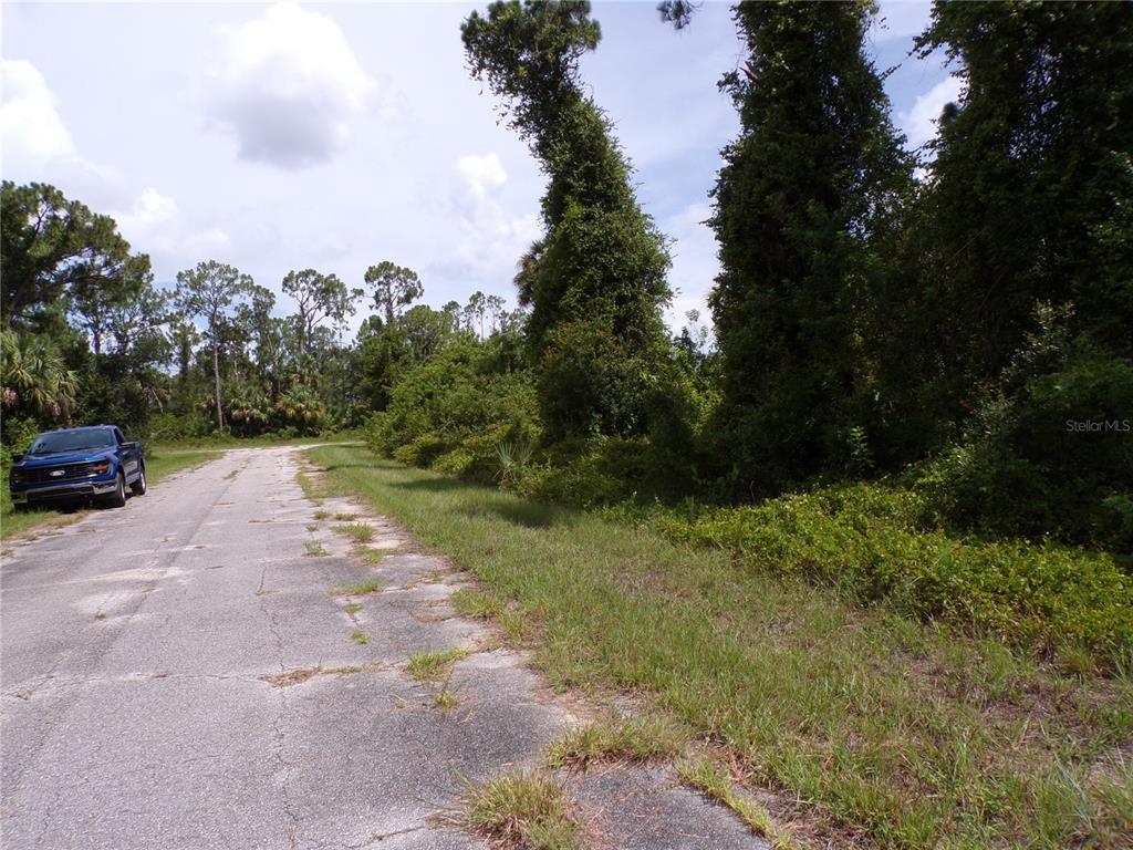 A blue pickup truck is parked on a paved road beside a wooded lot — IRONSIDE STREET, NORTH PORT, FL