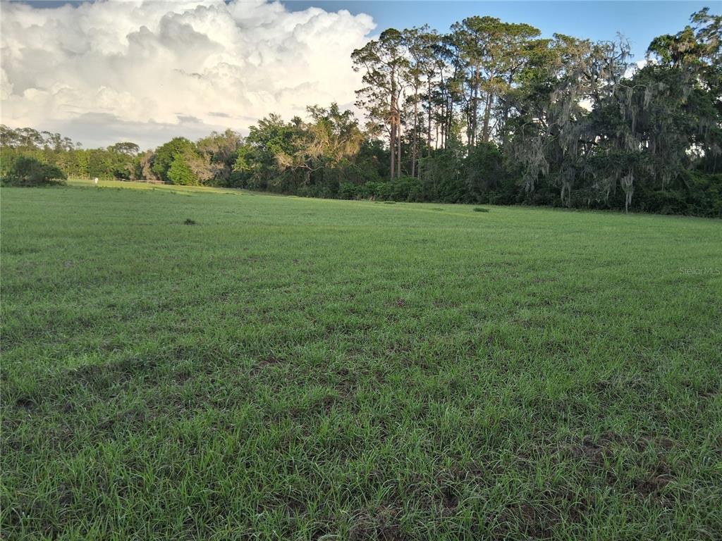 A large, grassy field is bordered by a line of tall trees under a cloudy sky — 1613 NE 12TH AVENUE, SUMTERVILLE, FL