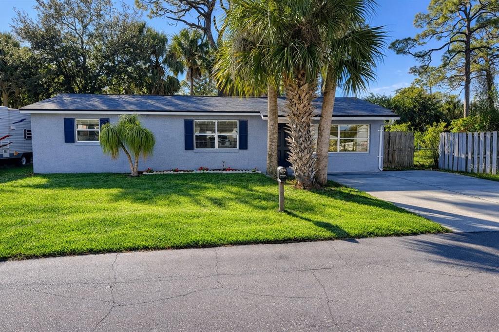 A single-story gray house with blue shutters, a palm tree, and a concrete driveway — 1806 JAMES STREET, SOUTH DAYTONA, FL