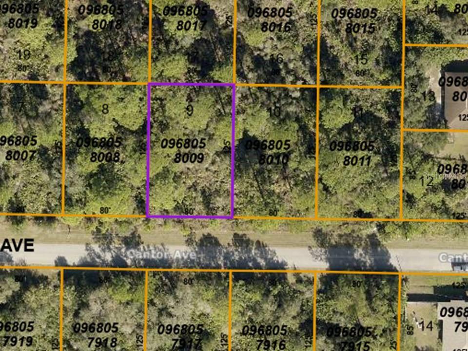 LOT 9 CANTOR AVENUE