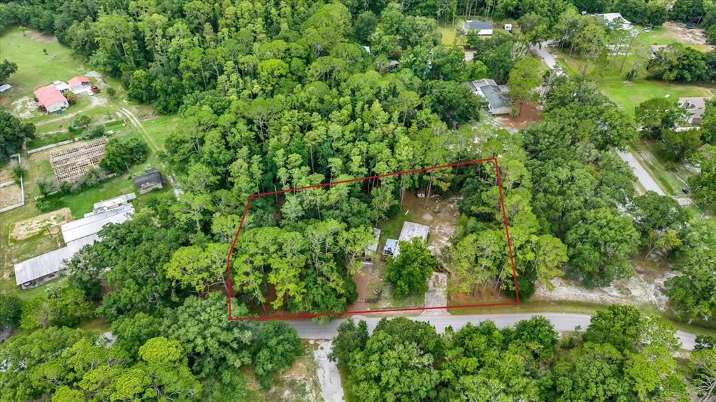 An aerial view shows a wooded lot outlined in red with a small house and driveway — 6947 ANGUS VALLEY DRIVE, WESLEY CHAPEL, FL