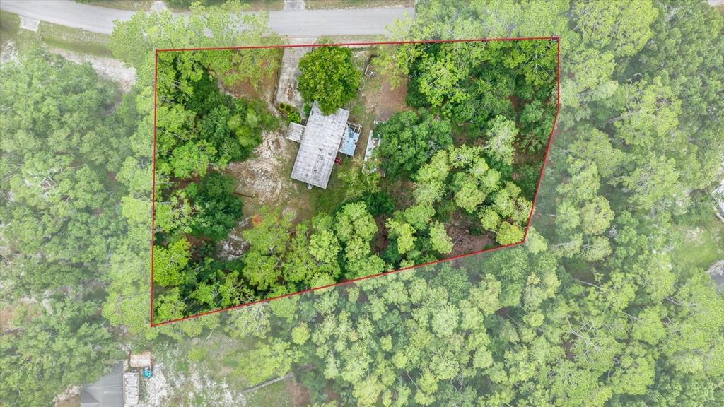 An aerial view shows a house with a flat roof situated on a wooded lot — 6947 ANGUS VALLEY DRIVE, WESLEY CHAPEL, FL