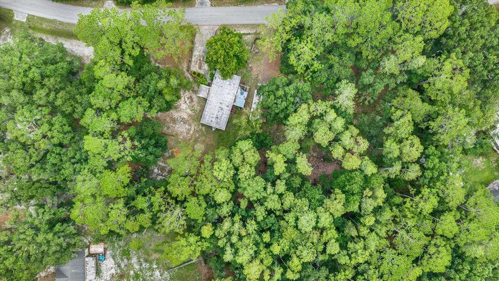 An aerial view shows a house with a flat roof nestled within a wooded lot — 6947 ANGUS VALLEY DRIVE, WESLEY CHAPEL, FL