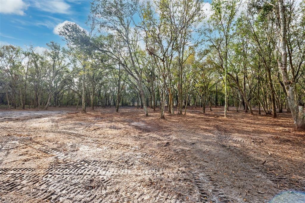 A cleared, muddy lot with tire tracks sits in front of a dense wooded area — JUSTIN LANE, PLANT CITY, FL