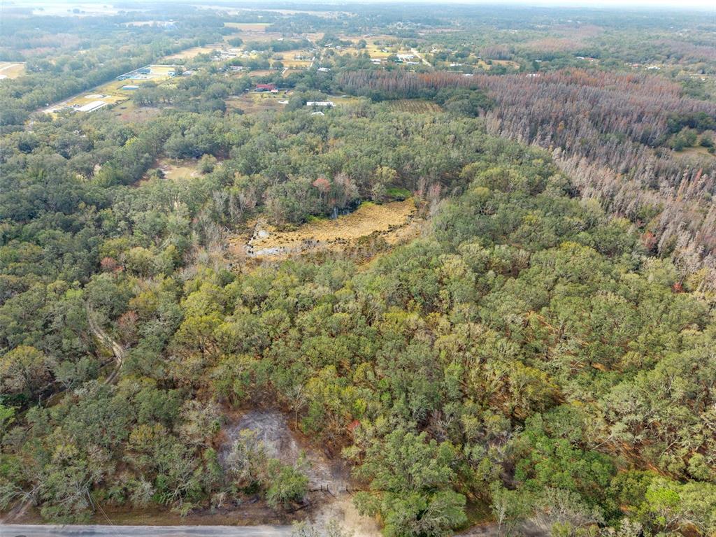 An aerial view shows a large, wooded lot with a central clearing and a road — JUSTIN LANE, PLANT CITY, FL