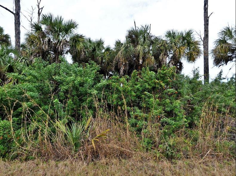 SILVERLEAF ROAD, NORTH PORT, FL — photo 2 of 5