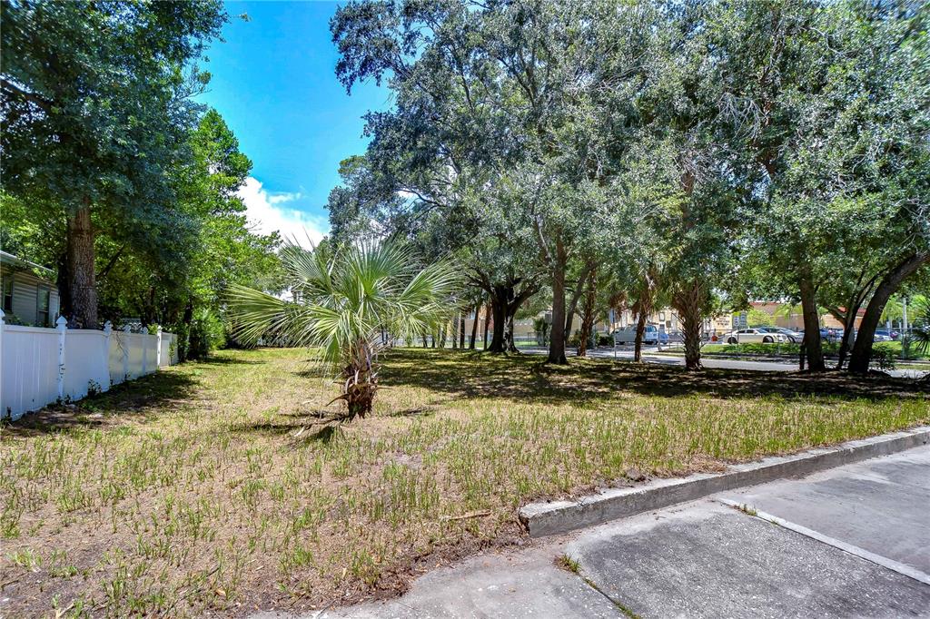 A vacant, grassy lot features a single palm tree and mature trees near a fence — 1522 E 26TH AVENUE, TAMPA, FL