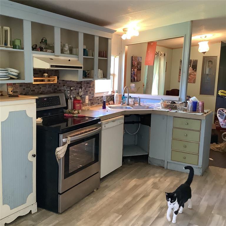 A kitchen features blue and green cabinets, a stainless steel stove, and a black-and-white cat — 20406 BLUE WING ROAD, ALTOONA, FL