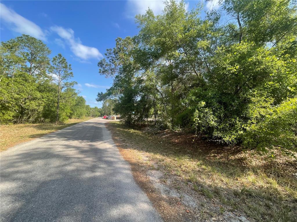 A paved road runs alongside a wooded lot under a blue sky — TBD SEQUOIA DRIVE Lot 16, OCKLAWAHA, FL