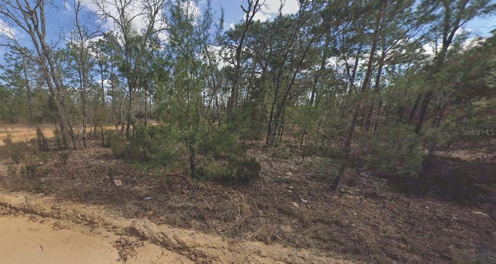 133 LAKE LUCY COURT