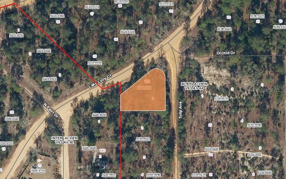 This is a map showing a highlighted vacant lot located at a street intersection — 133 LAKE LUCY COURT, INTERLACHEN, FL